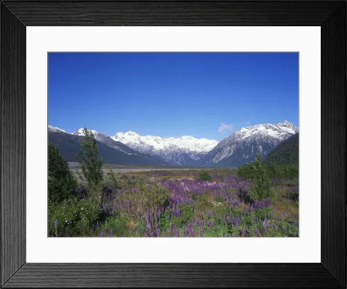 Framed Print : DDE-90026847 Framed Print : DDE-90026847