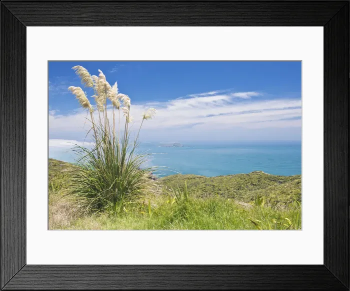 Framed Print : DDE-90026849 Framed Print : DDE-90026849