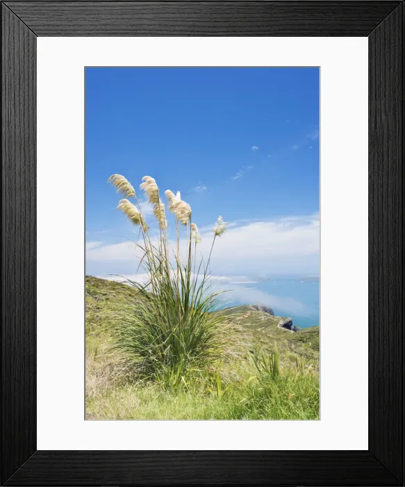 Framed Print : DDE-90026850 Framed Print : DDE-90026850