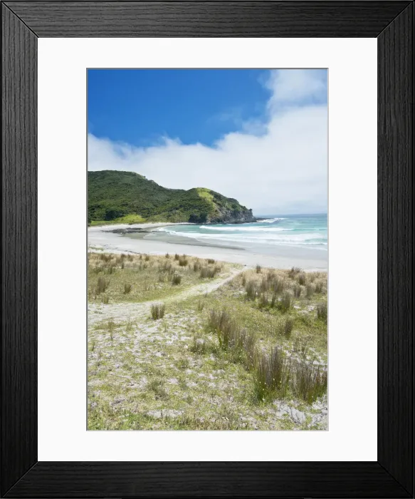 Framed Print : DDE-90026859 Framed Print : DDE-90026859