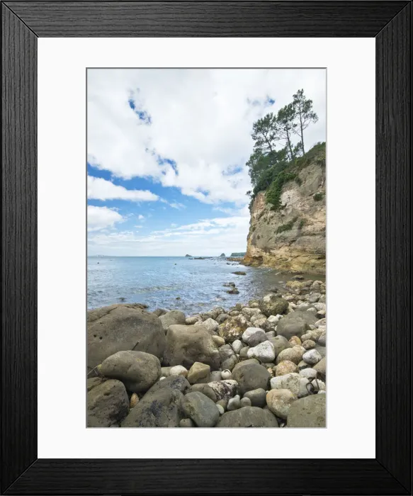 Framed Print : DDE-90026863