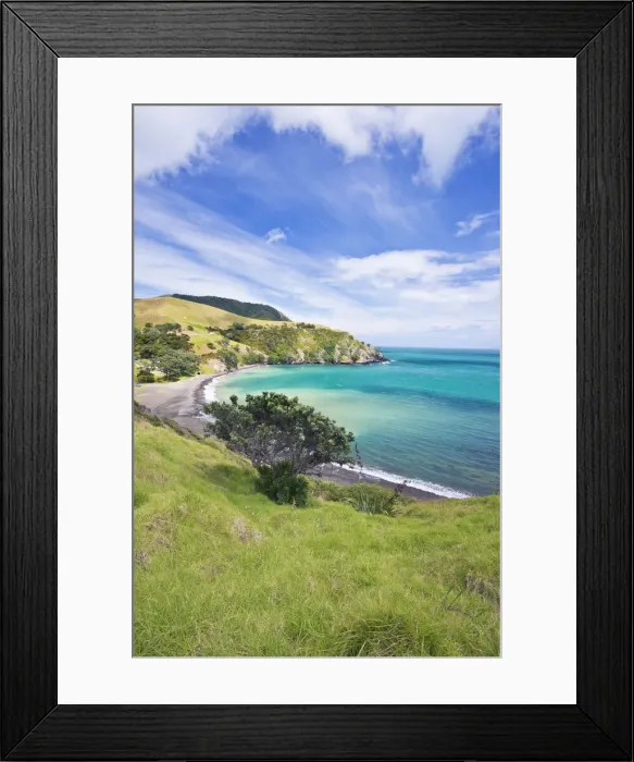 Framed Print : DDE-90026880 Framed Print : DDE-90026880