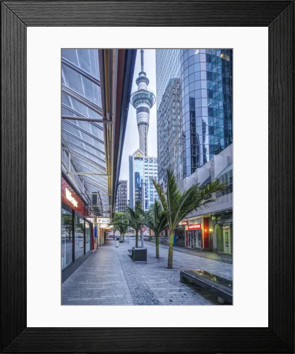 Framed Print : DDE-90026902 Framed Print : DDE-90026902