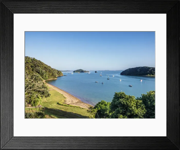 Framed Print : DDE-90026908