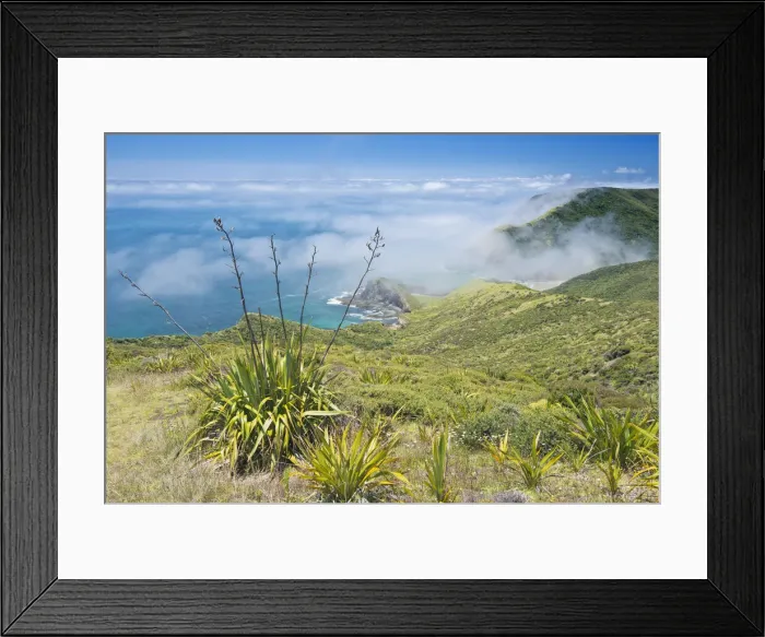 Framed Print : DDE-90026913 Framed Print : DDE-90026913