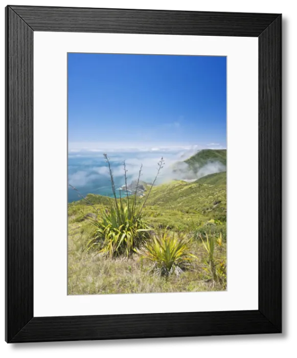 Framed Print : DDE-90026914 Framed Print : DDE-90026914