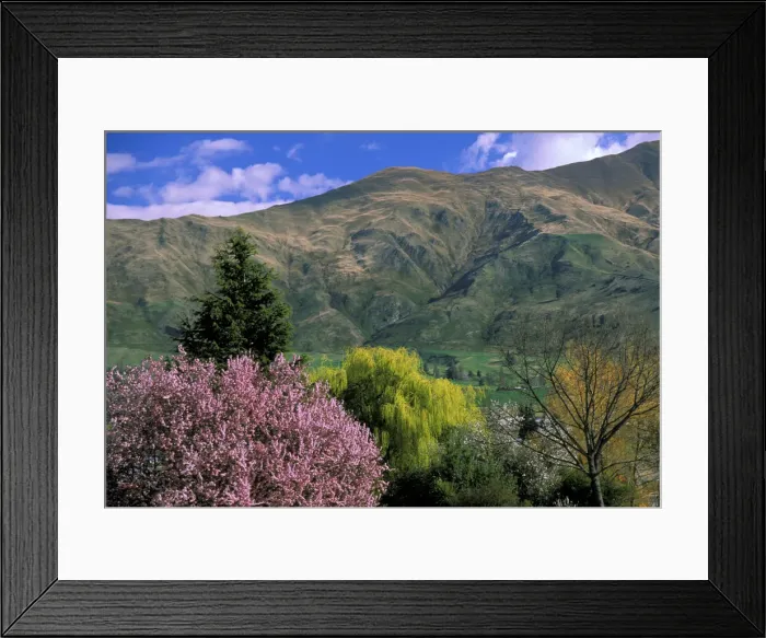 Framed Print : DDE-90026927 Framed Print : DDE-90026927