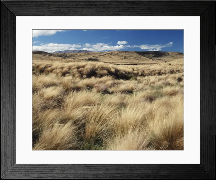 Framed Print : DDE-90026934