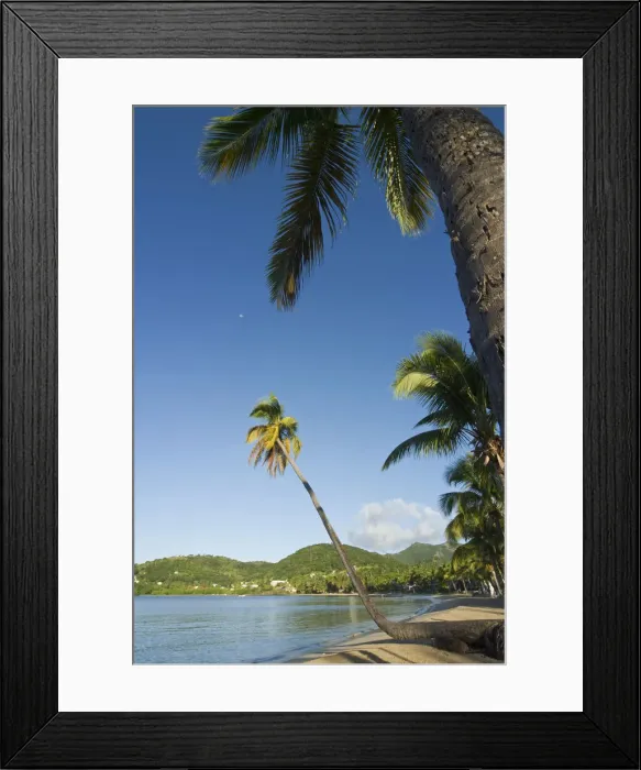 Framed Print : DDE-90026942 Framed Print : DDE-90026942