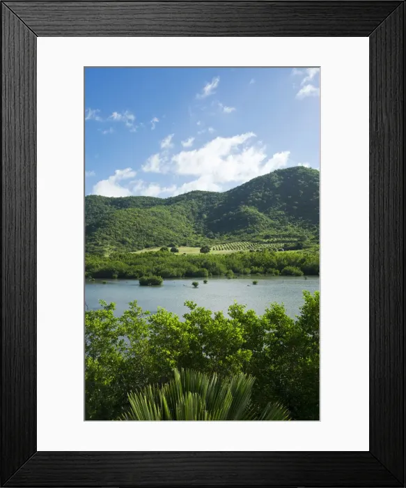 Framed Print : DDE-90026943 Framed Print : DDE-90026943