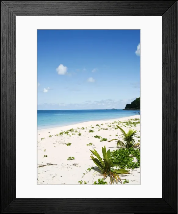 Framed Print : DDE-90026946 Framed Print : DDE-90026946