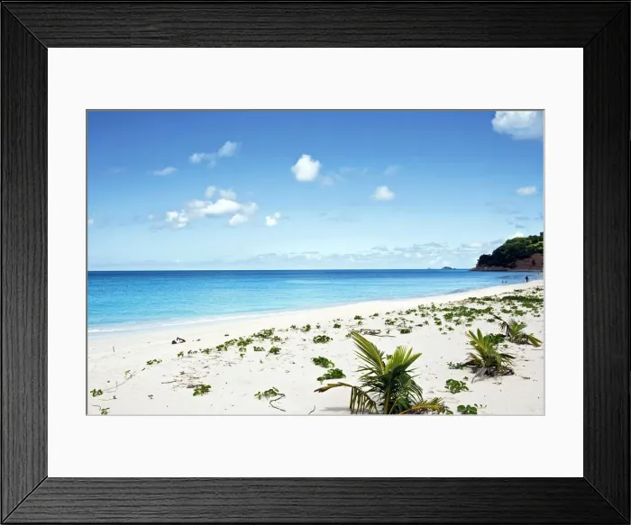 Framed Print : DDE-90026947 Framed Print : DDE-90026947