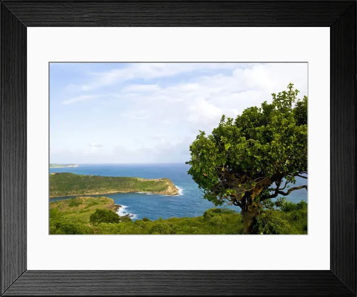 Framed Print : DDE-90026952
