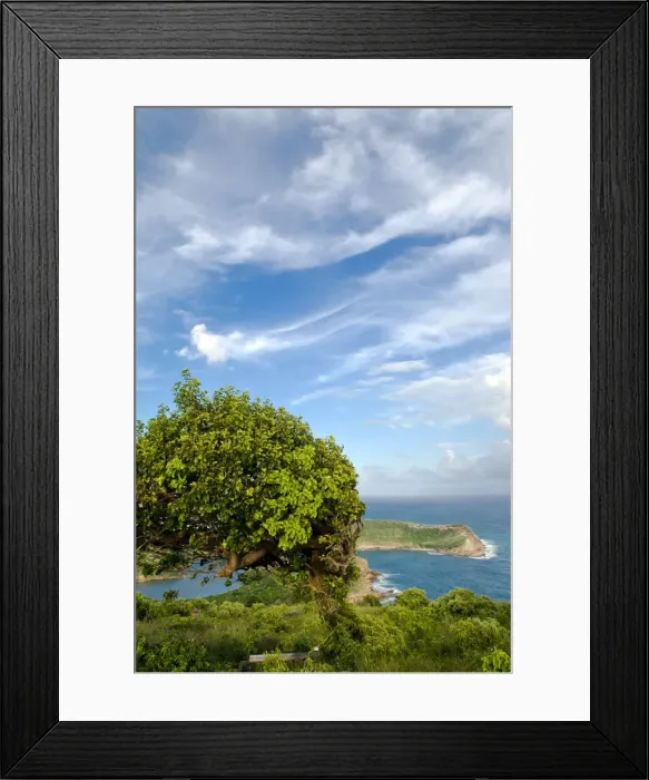 Framed Print : DDE-90026953 Framed Print : DDE-90026953