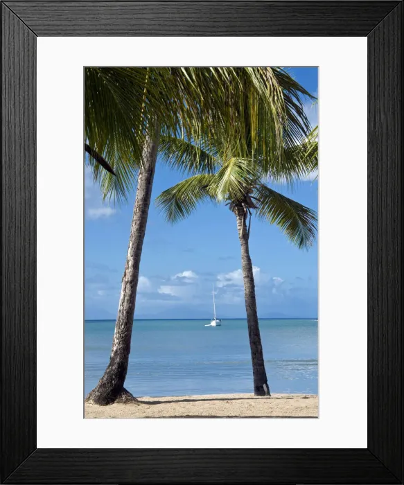 Framed Print : DDE-90026955 Framed Print : DDE-90026955