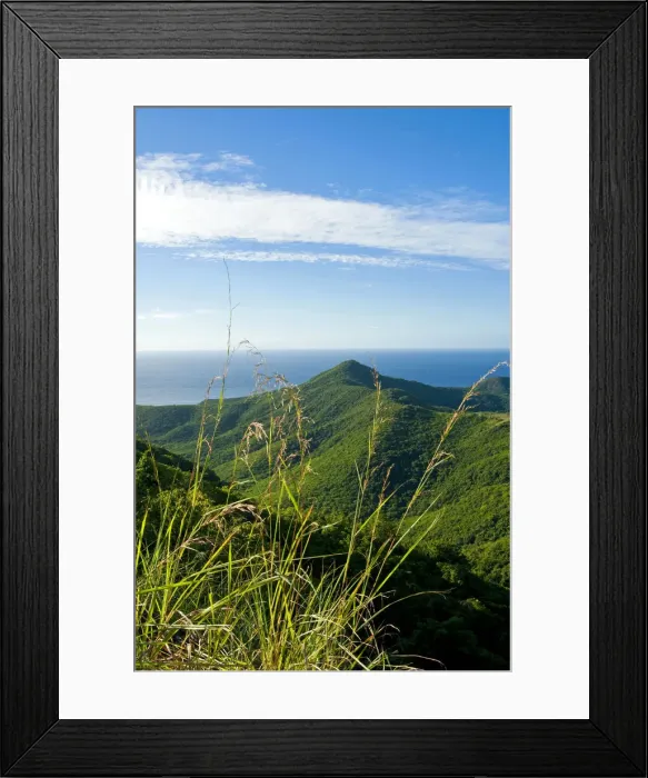 Framed Print : DDE-90026962 Framed Print : DDE-90026962