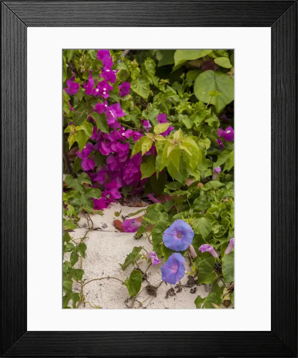 Framed Print : DDE-90026965 Framed Print : DDE-90026965