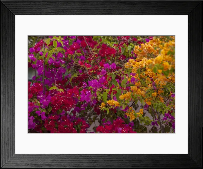 Framed Print : DDE-90026967 Framed Print : DDE-90026967