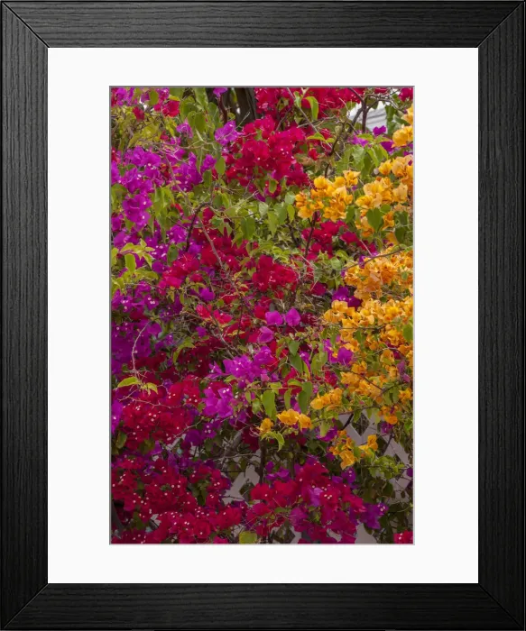 Framed Print : DDE-90026966 Framed Print : DDE-90026966