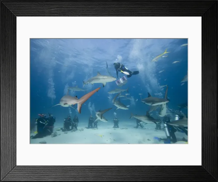Framed Print : DDE-90026990