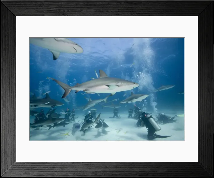 Framed Print : DDE-90026991 Framed Print : DDE-90026991