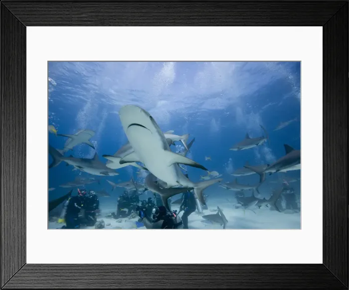 Framed Print : DDE-90026992