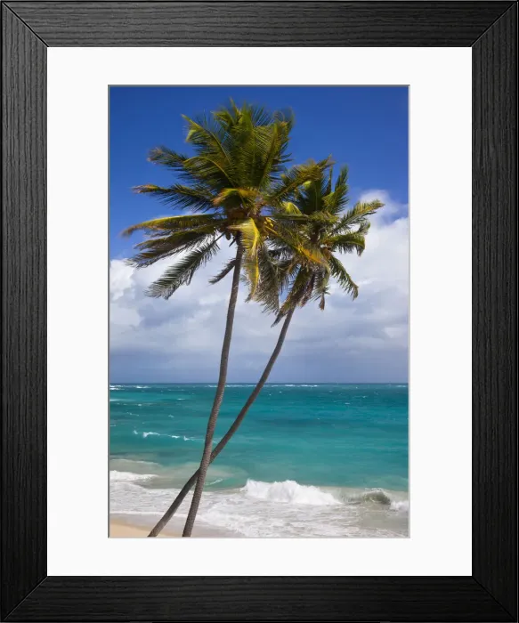 Framed Print : DDE-90026996 Framed Print : DDE-90026996