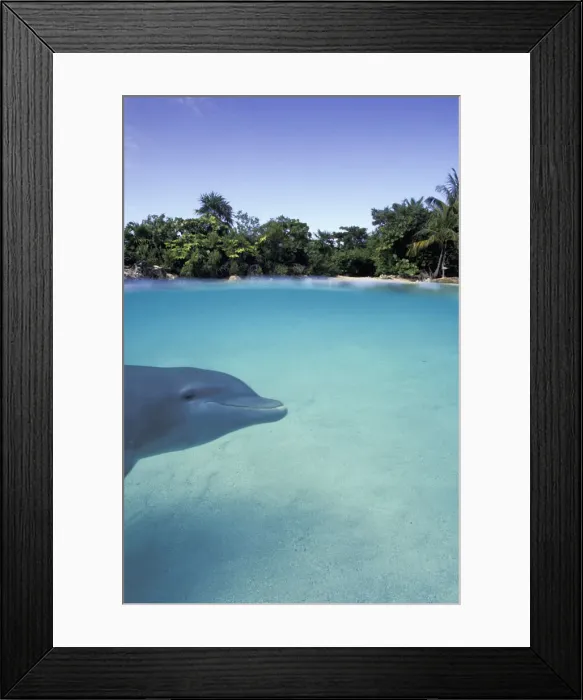 Framed Print : DDE-90026994 Framed Print : DDE-90026994