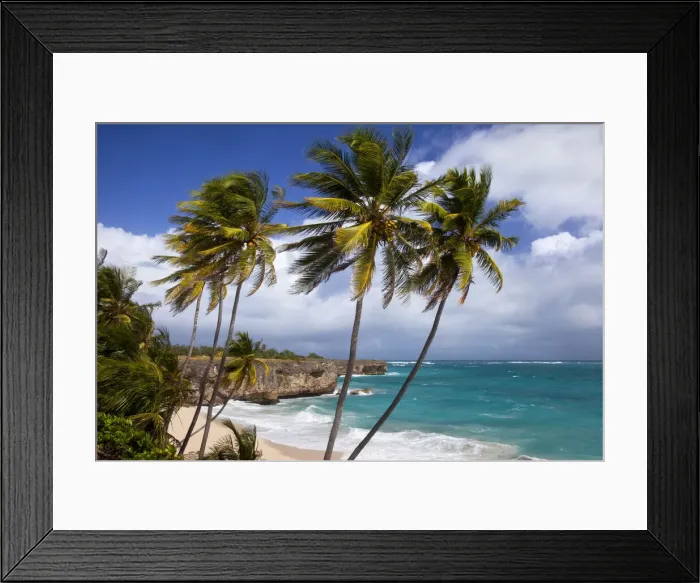 Framed Print : DDE-90026997 Framed Print : DDE-90026997