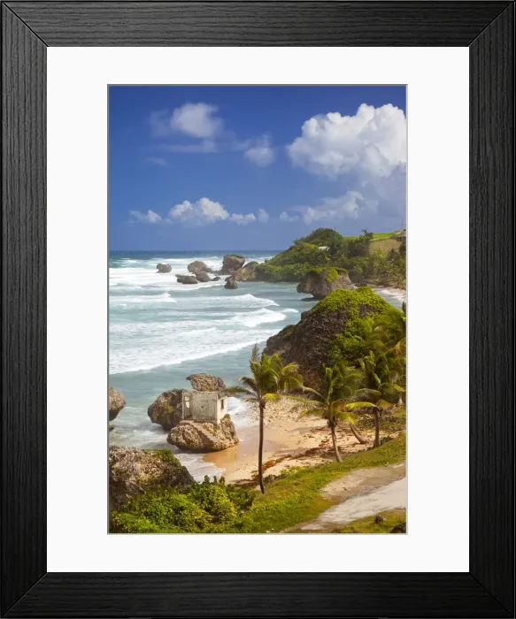 Framed Print : DDE-90027000