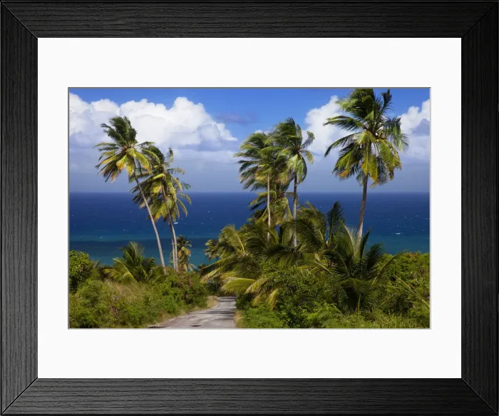 Framed Print : DDE-90026998 Framed Print : DDE-90026998