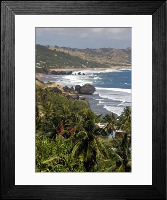 Framed Print : DDE-90027002