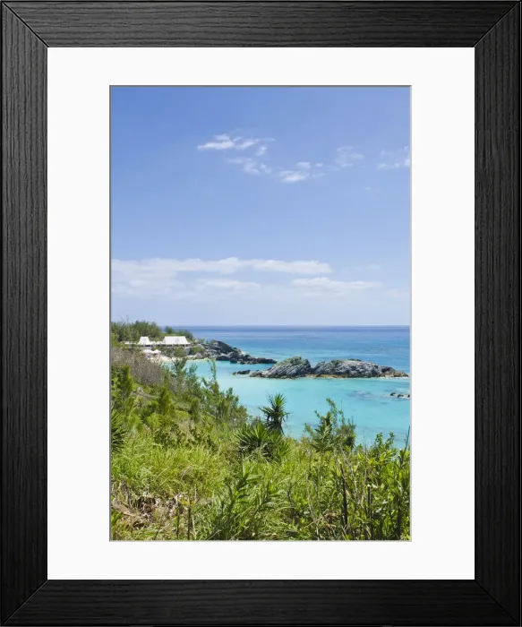 Framed Print : DDE-90027005 Framed Print : DDE-90027005