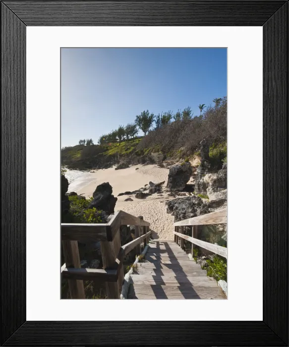 Framed Print : DDE-90027012 Framed Print : DDE-90027012