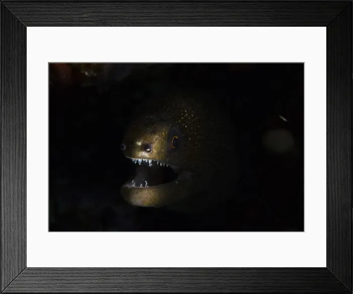 Framed Print : DDE-90027064 Framed Print : DDE-90027064