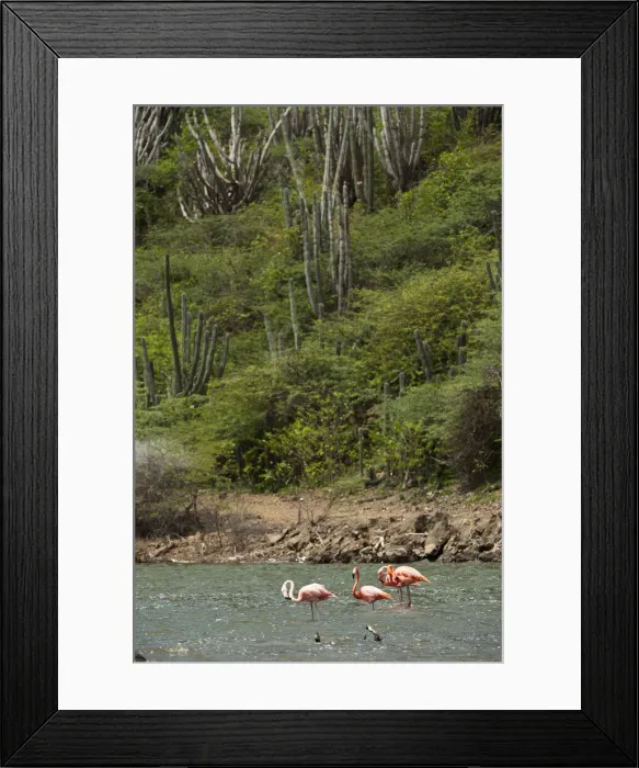 Framed Print : DDE-90027097 Framed Print : DDE-90027097