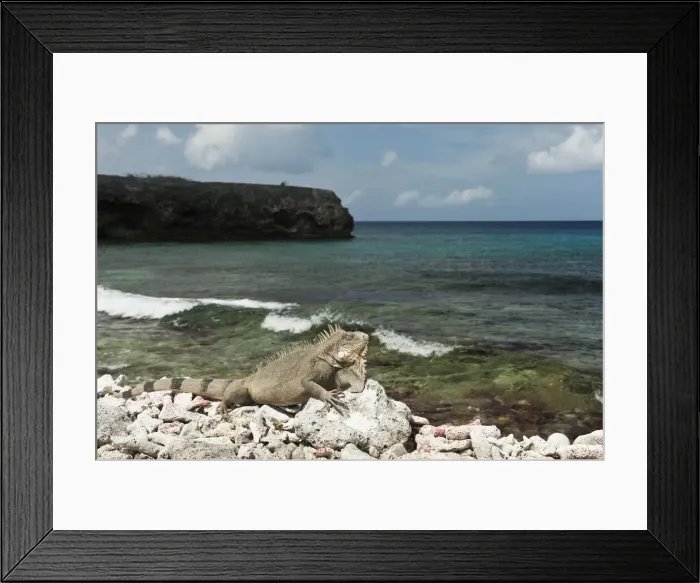 Framed Print : DDE-90027096 Framed Print : DDE-90027096