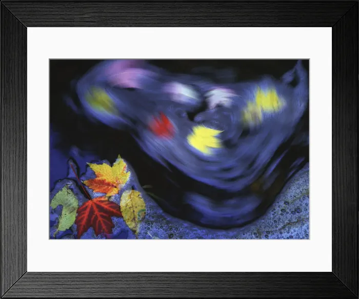 Framed Print : DDE-90027108