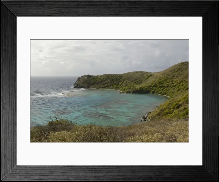 Framed Print : DDE-90027117