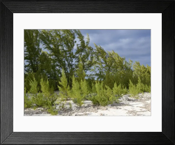 Framed Print : DDE-90027128 Framed Print : DDE-90027128