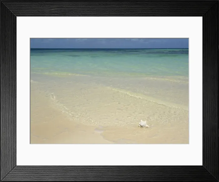 Framed Print : DDE-90027133 Framed Print : DDE-90027133