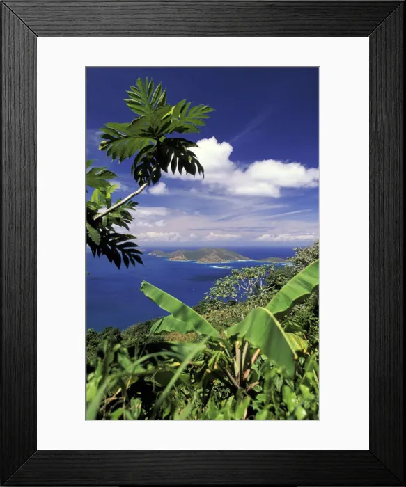 Framed Print : DDE-90027144 Framed Print : DDE-90027144