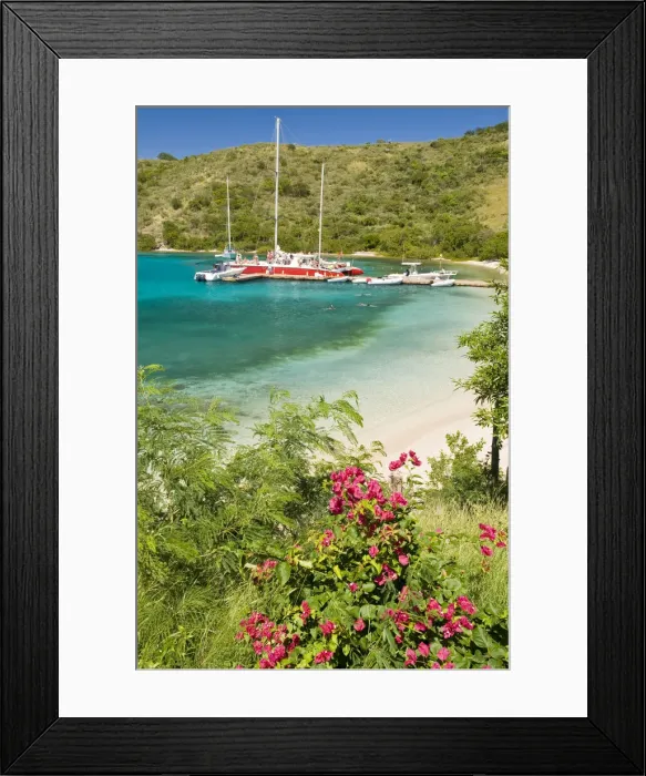 Framed Print : DDE-90027148 Framed Print : DDE-90027148