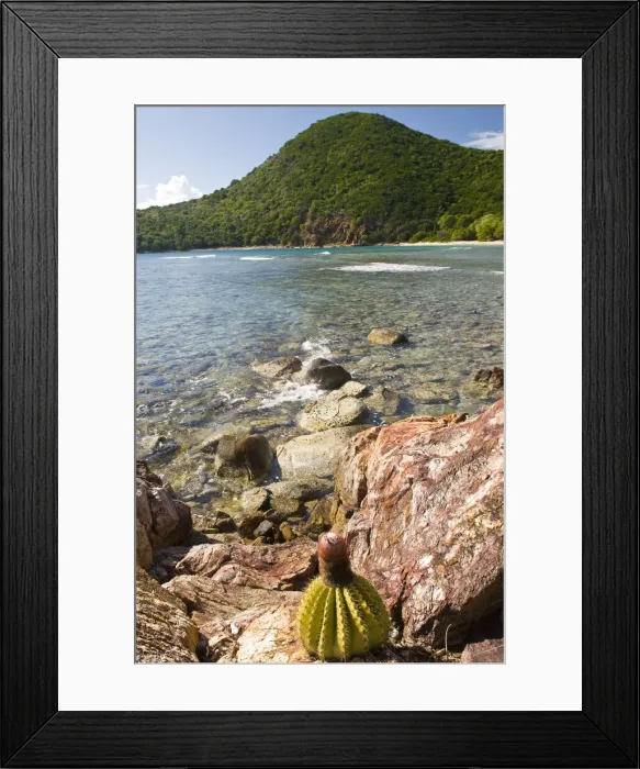 Framed Print : DDE-90027151 Framed Print : DDE-90027151