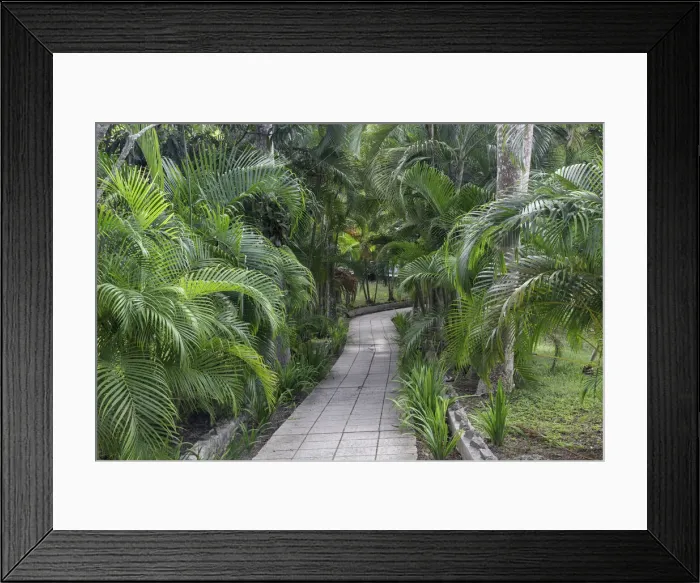 Framed Print : DDE-90027155 Framed Print : DDE-90027155