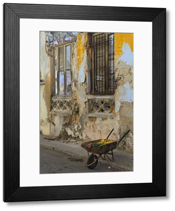 Framed Print : DDE-90027160 Framed Print : DDE-90027160