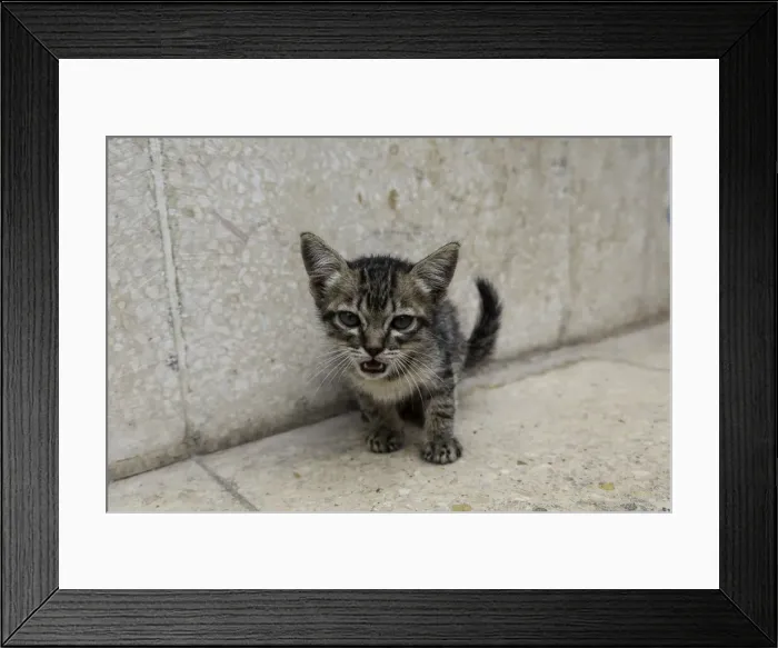 Framed Print : DDE-90027164