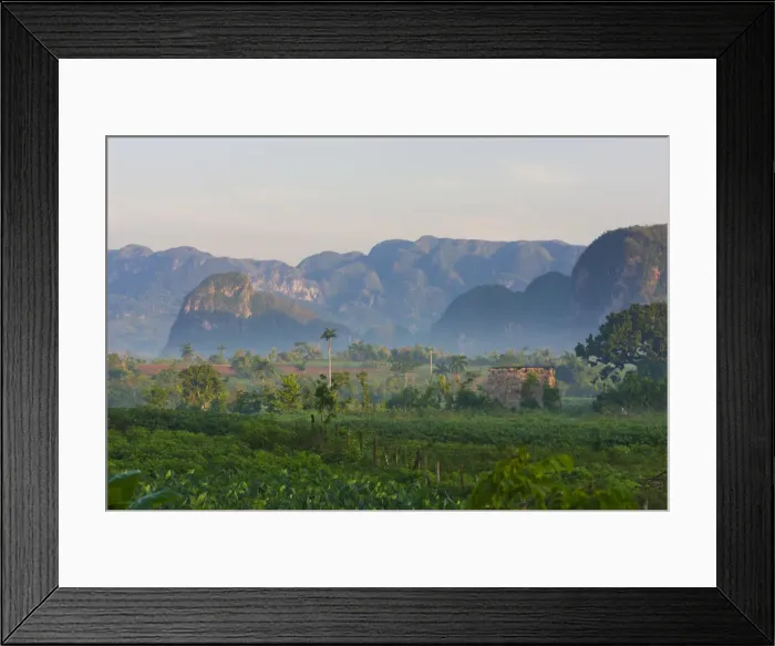 Framed Print : DDE-90027192 Framed Print : DDE-90027192