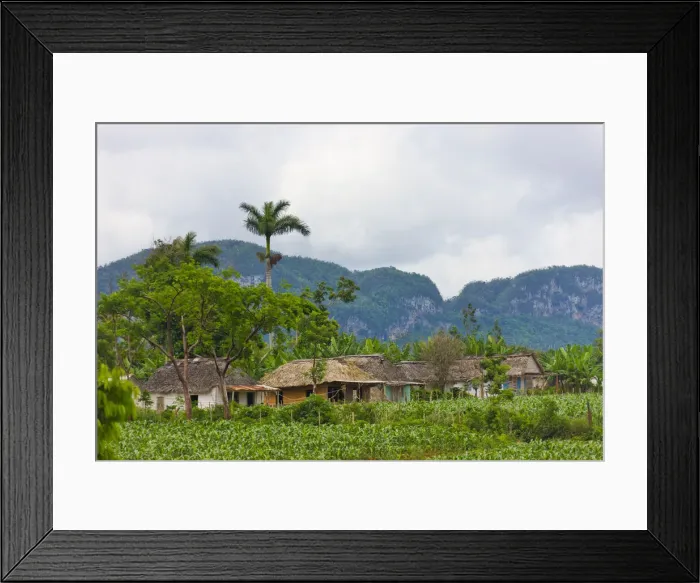Framed Print : DDE-90027194 Framed Print : DDE-90027194