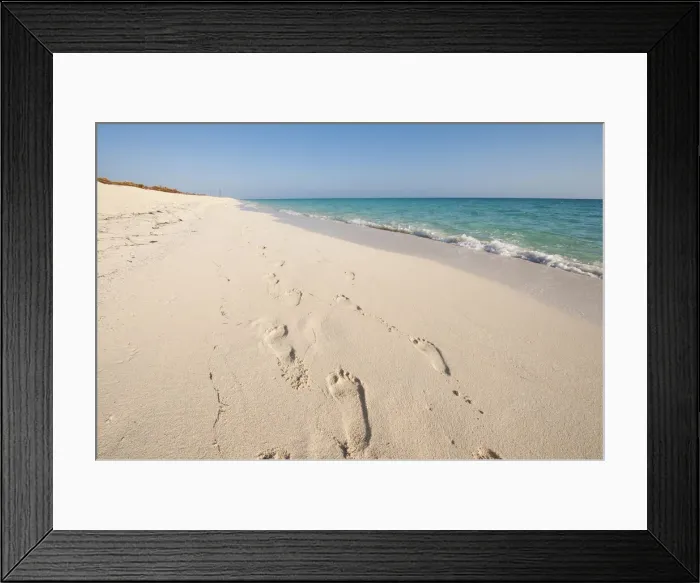 Framed Print : DDE-90027203 Framed Print : DDE-90027203